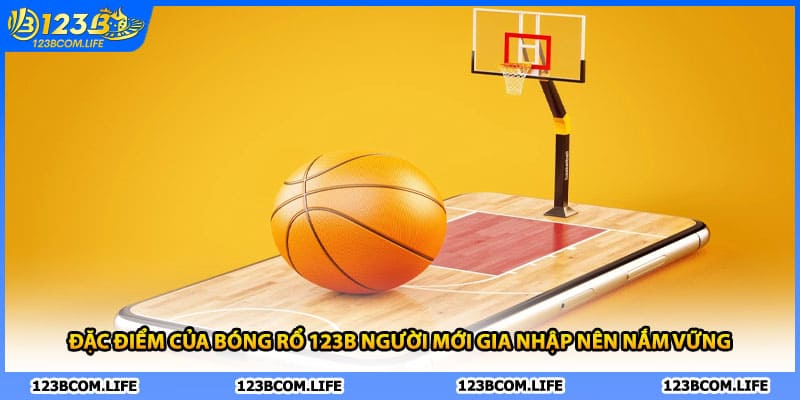 Đặc điểm của bóng rổ 123B người mới gia nhập nên nắm vững