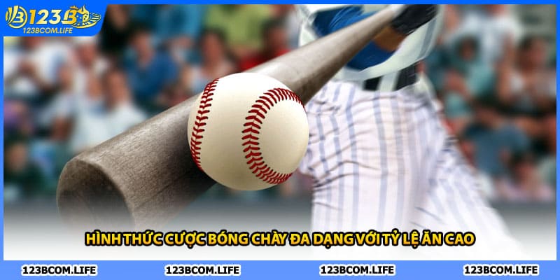 Hình thức cược bóng chày đa dạng với tỷ lệ ăn cao
