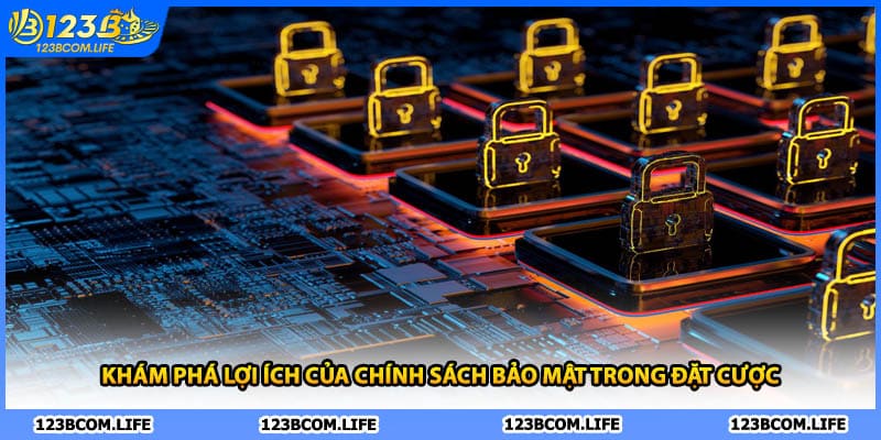 Khám phá lợi ích của chính sách bảo mật trong đặt cược