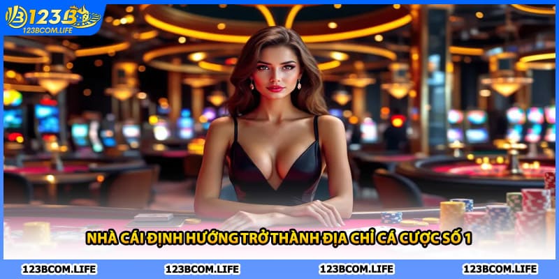 Nhà cái định hướng trở thành địa chỉ cá cược số 1 