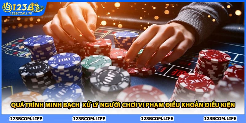 Quá trình minh bạch  xử lý người chơi vi phạm điều khoản điều kiện 