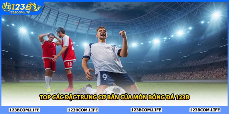 Top các đặc trưng cơ bản của môn bóng đá 123B